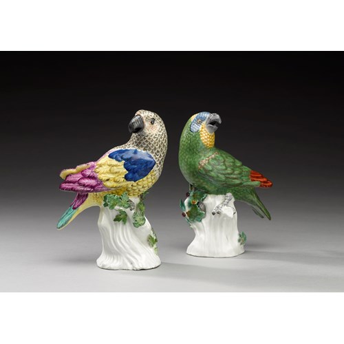 Two parrots "medium sort"